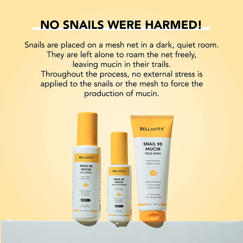 Dewy Skin Trial Pack