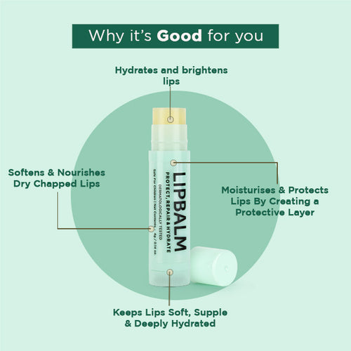 The Lip Balm - 5 g
