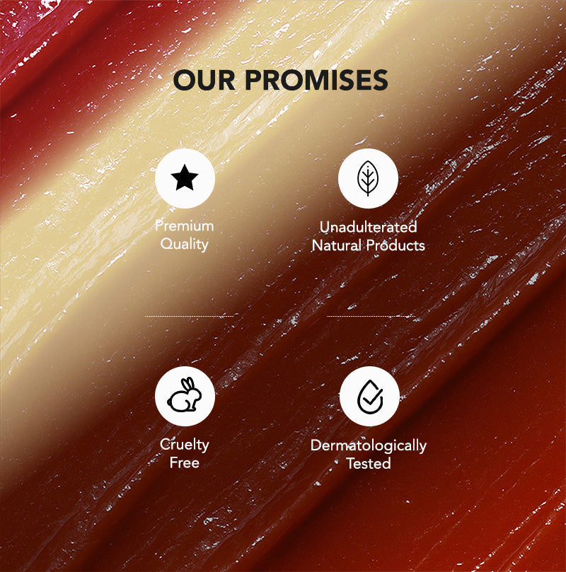 Tinted Lip Balm SPF 20 | Pack of 2