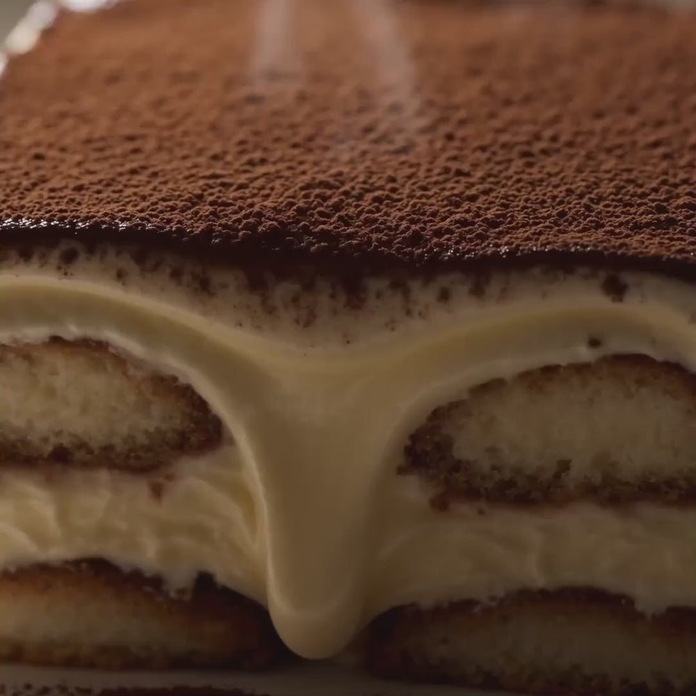 Dreamy Marshmallow